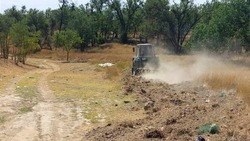 Более 70 км противопожарных полос обновлено в Будённовском округе