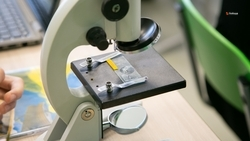 В День российской науки на Ставрополье пройдут ярмарки и мастер-классы