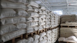 Завод по переработке кукурузы появится в Ставропольском крае 
