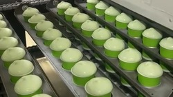 Ставрополье увеличило мощности производства мороженого на 30%