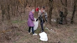 Три тонны мусора собрали в Будённовске во время первого весеннего субботника