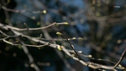 До +10 градусов ожидает будённовцев 14 и 15 марта