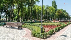 Новые зоны отдыха благоустроят в Будённовском округе в 2022 году