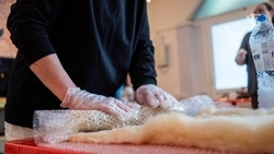 Ставропольцам передали шерсть из КЧР на изготовление поясов для участников СВО