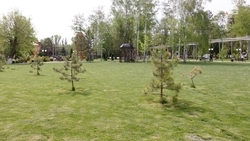 «Аллея дружбы» появилась в селе Преображенском накануне Дня народного единства