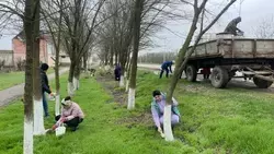 В Будённовском округе стартует двухмесячник по уборке и благоустройству