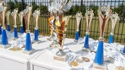 Будённовские студенты завоевали четыре награды на чемпионате «Профессионалы»