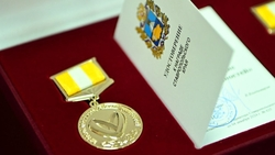 Будённовцам объяснили, как получить медаль «За сохранение семейных ценностей»