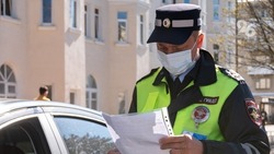 В Будённовском округе пройдёт акция для предотвращения ДТП с детьми
