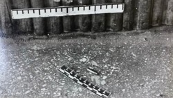 В Будённовске раскрыли убийство почти 30-летней давности