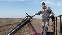 Препараты для борьбы с грызунами выдали аграриям 11 округов Ставрополья