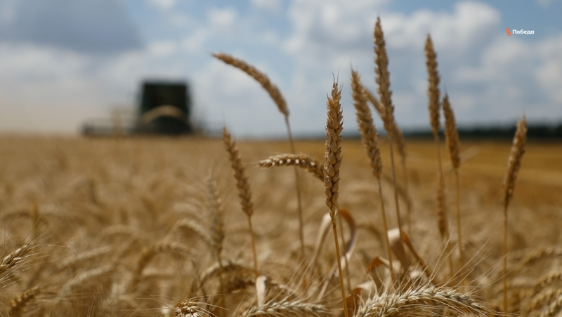 Будённовский округ готовится к посевной кампании 2026 года