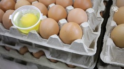 На Ставрополье куриные яйца подешевели до 109 рублей за десяток