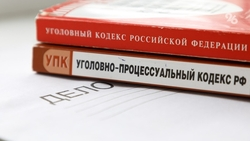 Прикумчанина обвиняют в серии краж имущества из автомобилей на 140 тыс. рублей