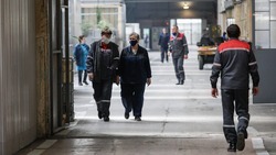 В Будённовске создадут градообразующий завод по производству удобрений