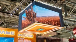 Гости ВДНХ могут выиграть экскурсии на известные предприятия Ставрополья