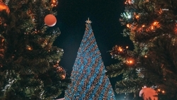 Более 200 детей участников СВО на Ставрополье подали заявки на  «Ёлки желаний» 