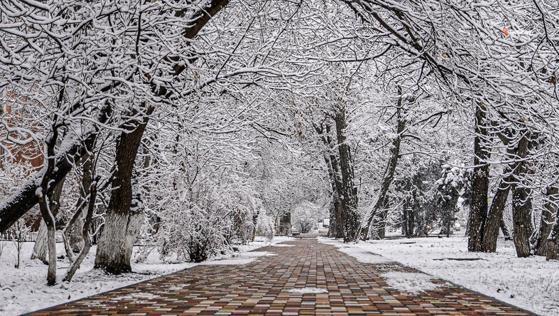 Глава Ставрополья призвал службы подготовиться к похолоданию