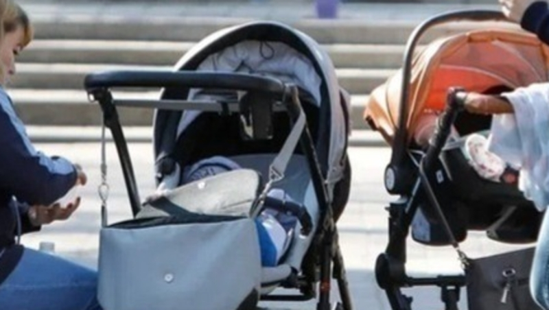 Введение налога на бездетность обсудили в Общественной палате Ставрополья