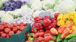Больше 27 тыс. ярмарок прошло в Ставропольском крае в 2024 году