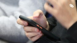 На Ставрополье запустили горячую линию по вопросам общественного транспорта