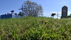 Коммунальщики Будённовского округа вывезли мусор с местных кладбищ