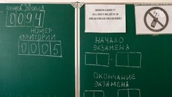 Прямую линию о госэкзаменах 2024 года Рособрнадзор проведёт 20 мая