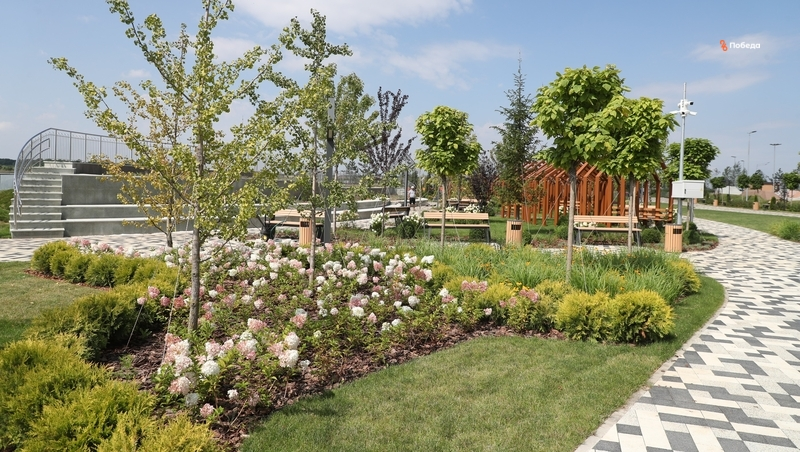 Реконструкция парка им. Кочубея может затянуться — глава Будённовского округа