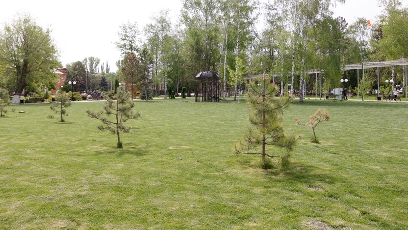 «Аллея дружбы» появилась в селе Преображенском накануне Дня народного единства