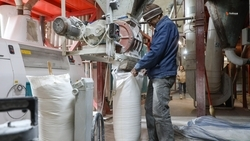 Две будённовские компании повысили производительность труда благодаря нацпроекту