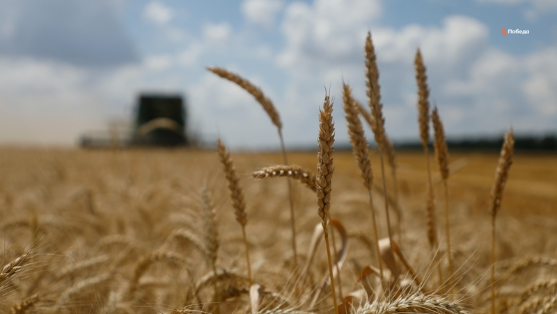 Глава Ставрополья в краевом оперштабе обсудил обеспечение безопасности урожая