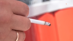 МЧС: Окурки являются причиной пожаров на полях Ставрополья