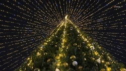 Главную городскую ёлку Будённовского округа откроют 14 декабря