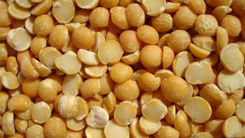 Ставропольские аграрии на 65% выполнили план по севу гороха