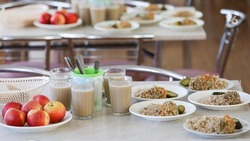 В Новоселицком округе с 1 марта увеличат компенсацию за двухразовое питание детей с ОВЗ