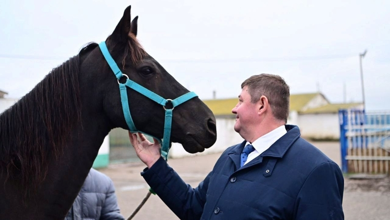 Глава Будённовского округа проверил лошадей в прасковейской спортшколе