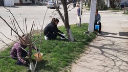 Весенней уборке посвятили месячник по благоустройству в Будённовском округе