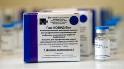 На следующей неделе минздрав Ставрополья получит вторую партию антиковидной вакцины для детей 