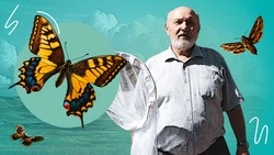 «Летят из Индии и Африки»: зоолог Пётр Коржов — о популярных и редких бабочках Будённовского округа