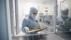 Ещё 290 жителей Ставропольского края выздоровели от COVID-19 за неделю