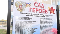 В Будённовском округе высадили 80 фруктовых деревьев в память о героях СВО