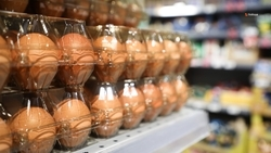 Доля продуктов местного производства на прилавках Ставрополья превысила 50% 