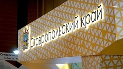 Новогодняя выставка пройдёт в центре «МинводыЭКСПО» в начале декабря на Ставрополье 