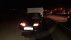В Будённовском округе водитель-бесправник сбил пешехода