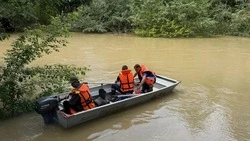 В селе Будённовского округа река Кума подтопила 31 приусадебный участок