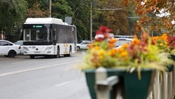 Новые автобусы выпустят на маршруты в Будённовском округе с февраля