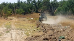 Более 70 км противопожарных полос обновлено в Будённовском округе