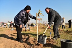 Порядка 900 саженцев высадили в Будённовском округе