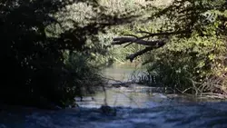 Река Кума подтопила три приусадебных участка в селе Архангельском