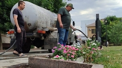 В Будённовске увеличили интенсивность полива газонов и клумб